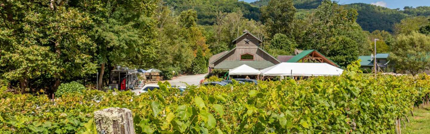 Appalachian High Country Wineries