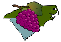 Carolina Winery Tours