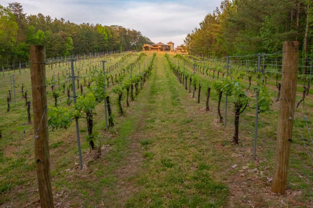 Winery on a Hill