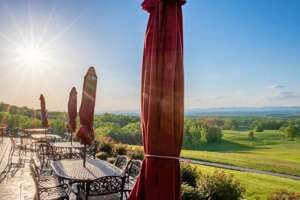 Piccione Vineyards - Yadkin Valley