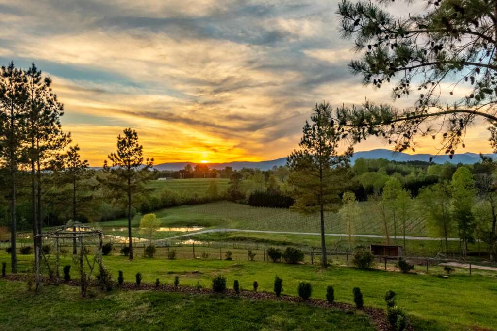 Sunset from the Tasting Room